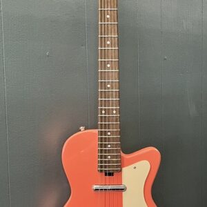 Silverston Coral